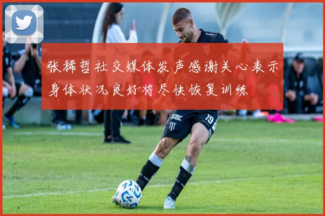 张稀哲社交媒体发声感谢关心表示身体状况良好将尽快恢复训练